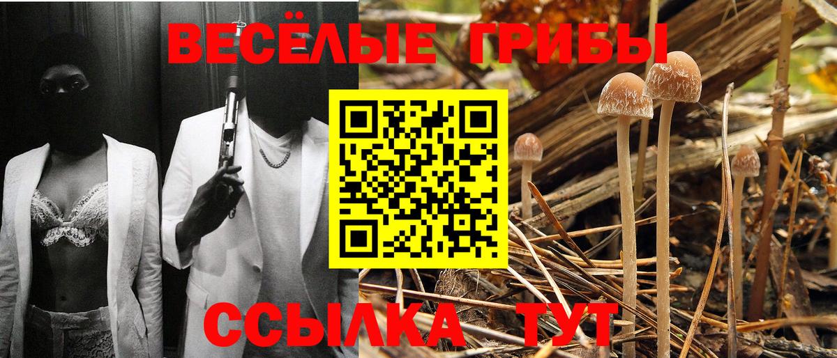 Галлюциногенные грибы Magic Shrooms Моздок