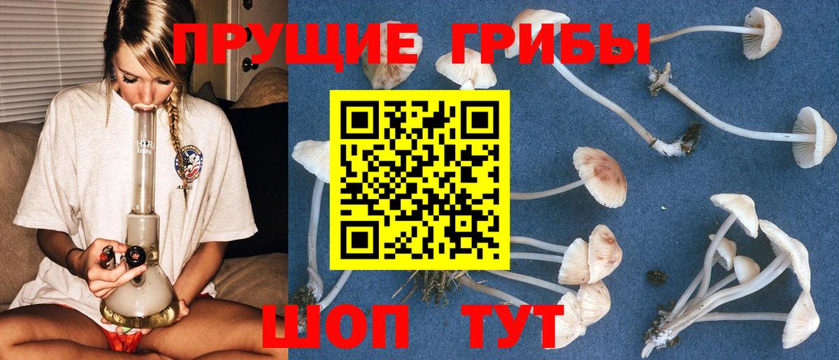 Моздок  Псилоцибиновые грибы Magic Shrooms  Вход с VPN 